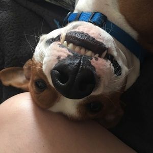 Meet your Posher, Amy